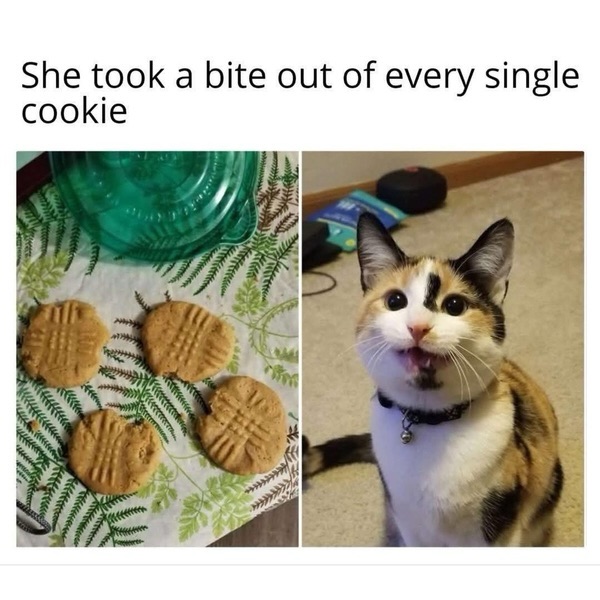cookies gone